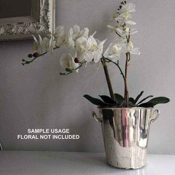 Silver-Plated Champagne Bucket with Handles - Picture 1 of 5